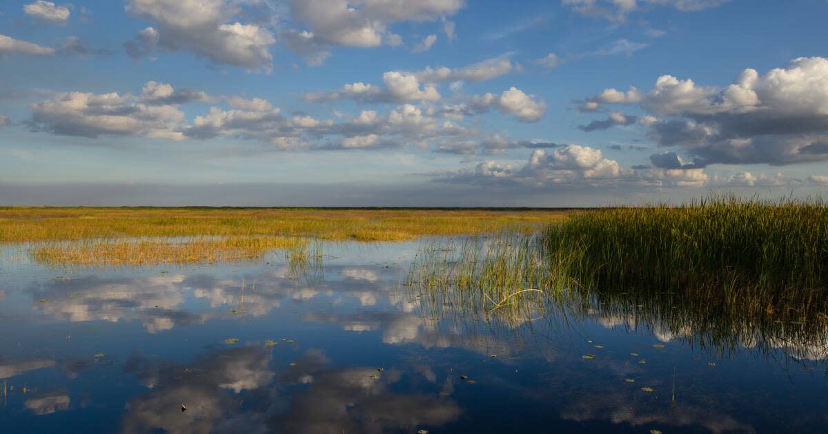 A scenic photo of Lake Okeechobee