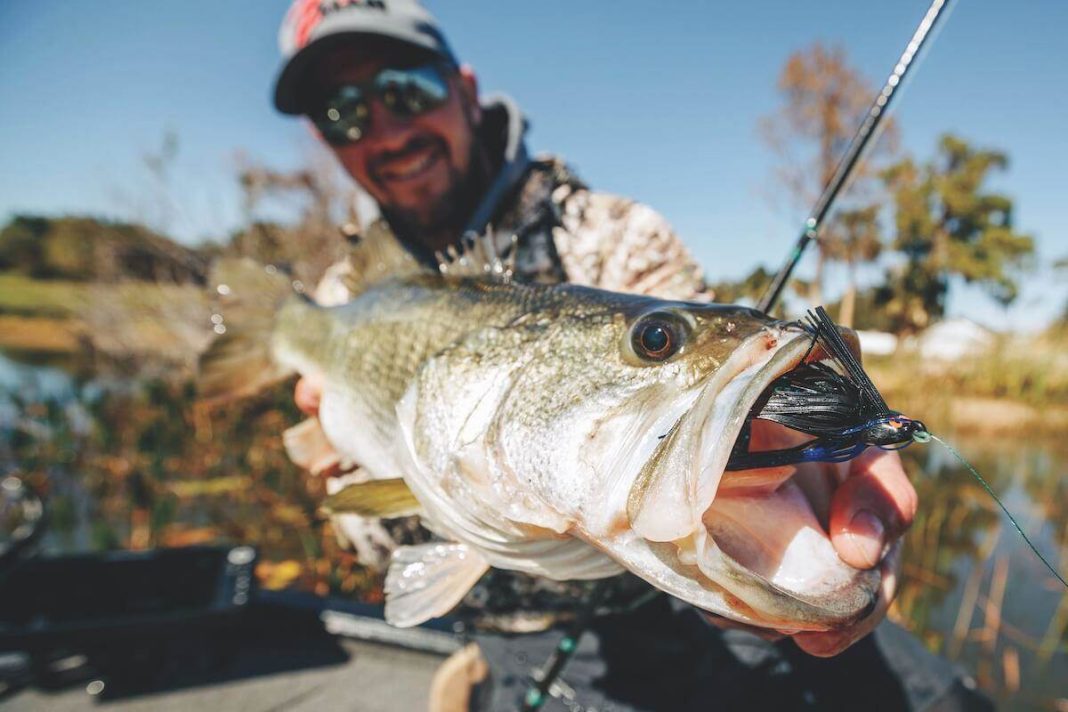 Florida Bass Lures