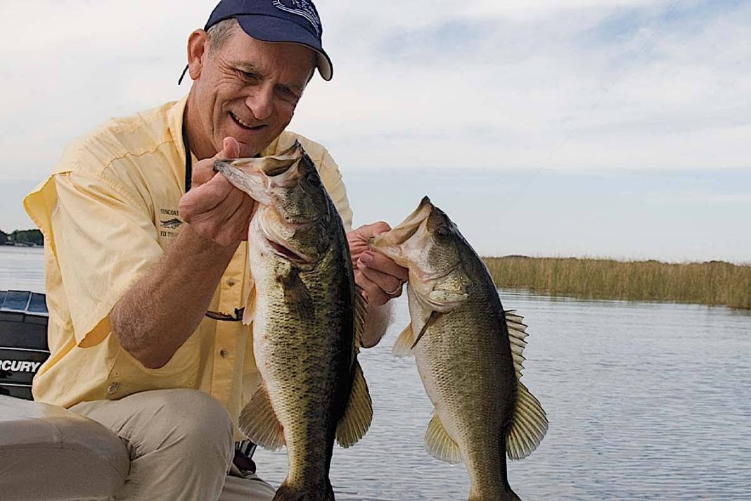 Lake Tarpon Bass
