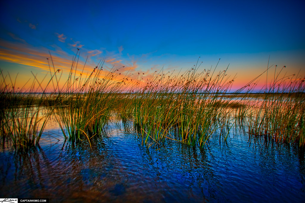 Lake Toho at sunrise, showing high water levels against the Kissimmee grass line.