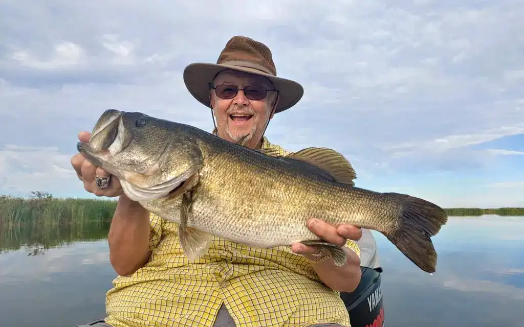 Florida Largemouth Bass Regulations