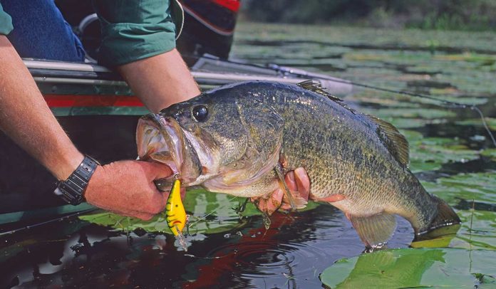 Kissimmee Chain Fishing Report